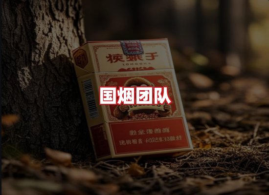 国烟团队